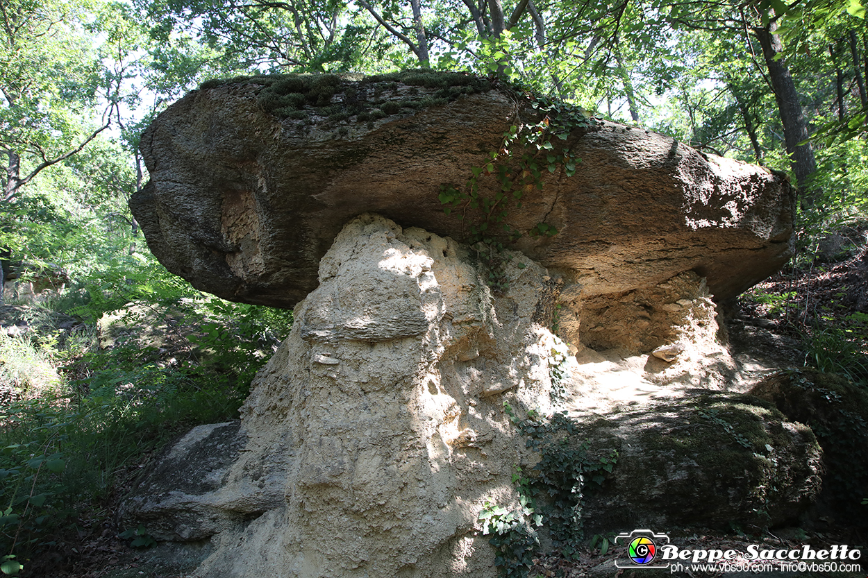VBS_8903 - I Ciciu del Villar. Villar San Costanzo. Val Maira (Cuneo).jpg